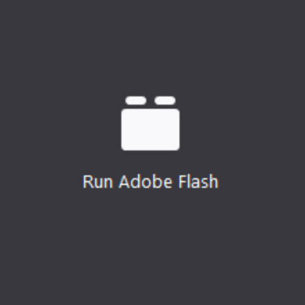 Run Adobe Flash Image