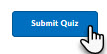 submit quiz button