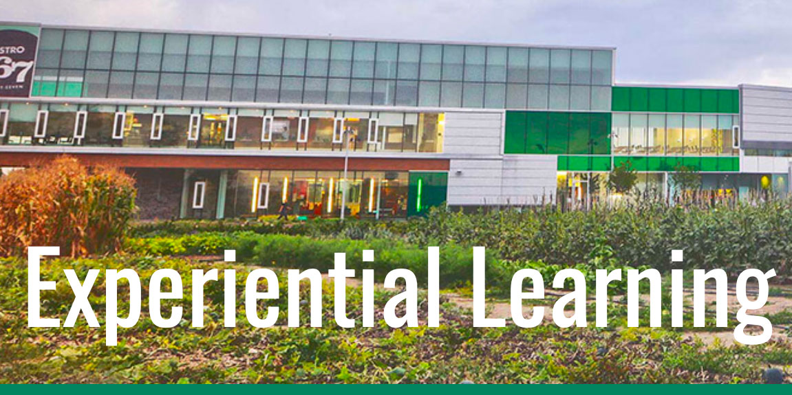 Experiential Learning banner