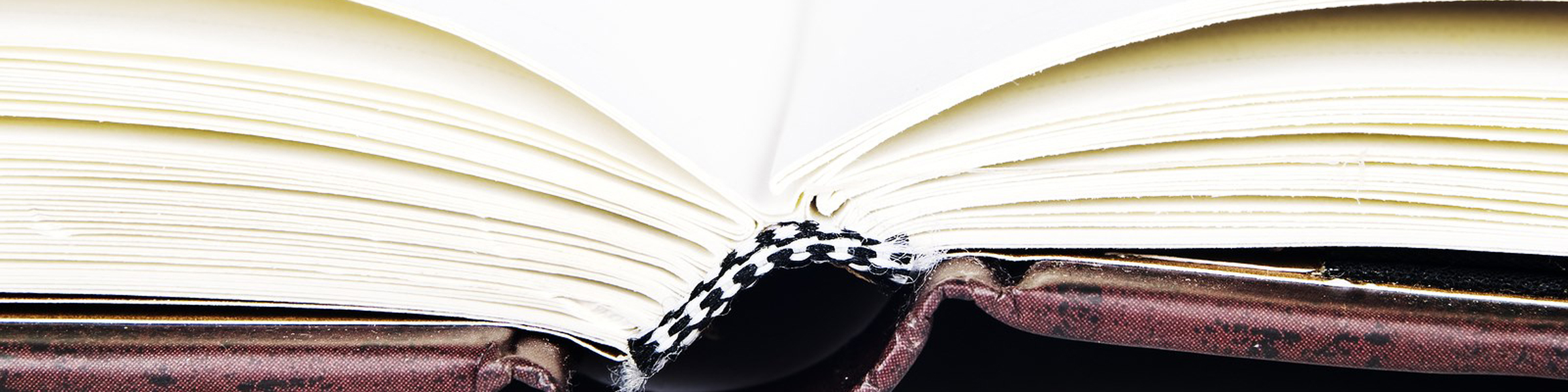 Closeup photo of an open book with blank pages