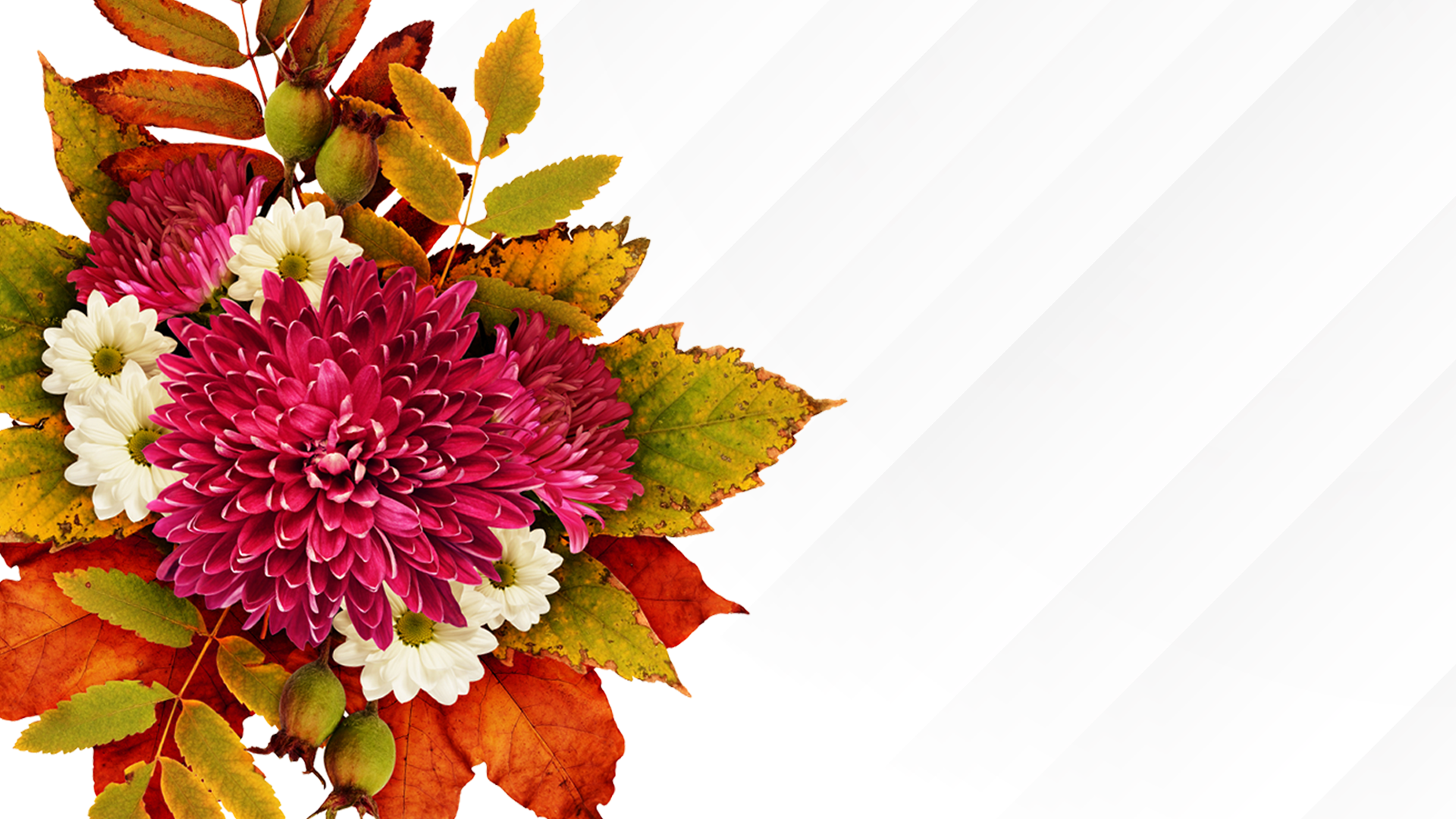 Orange, Pink, and Green florals