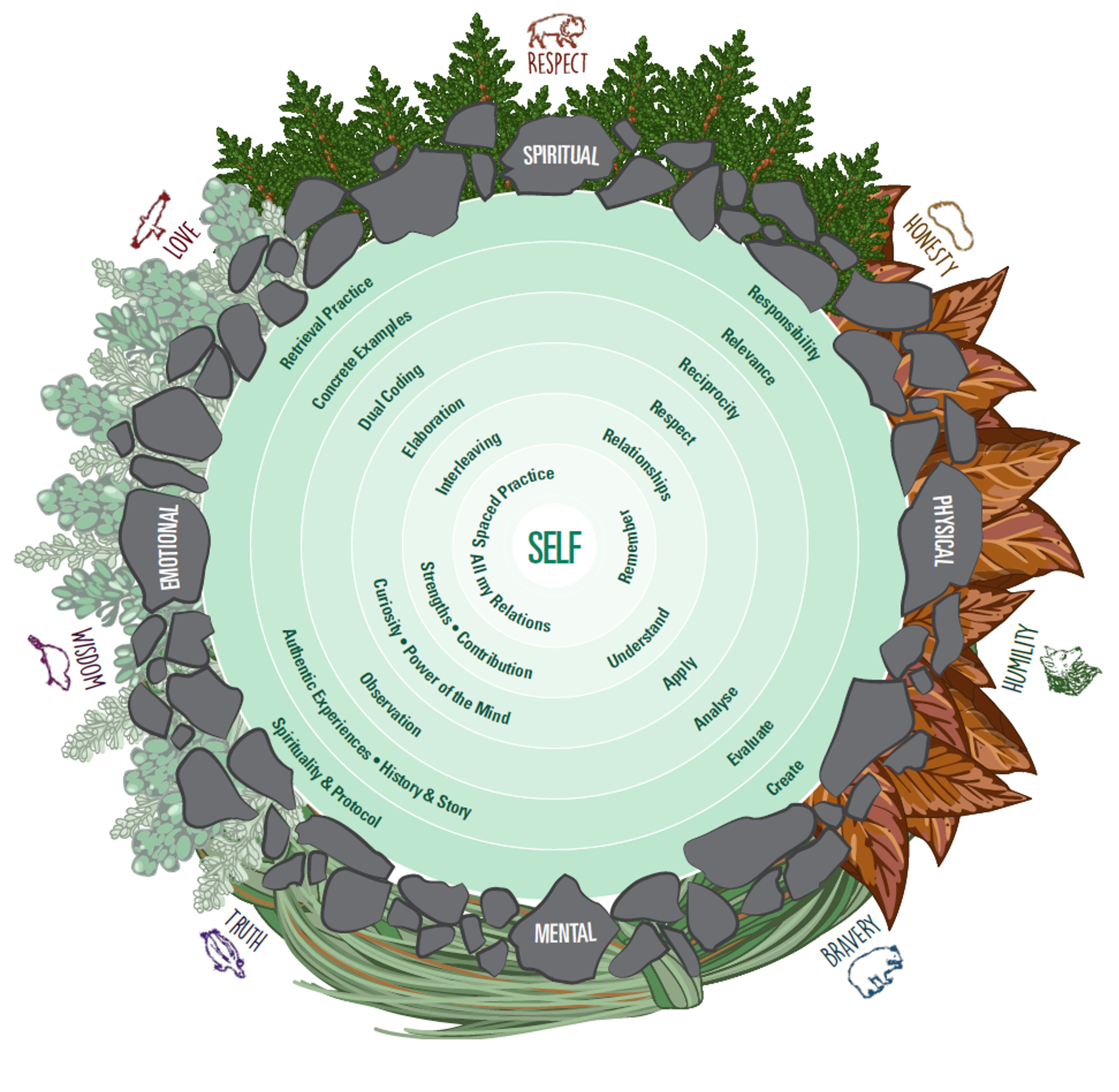 Braiding Learning Framework. See PDF for accessible version.