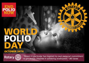 World Polio Day Banner