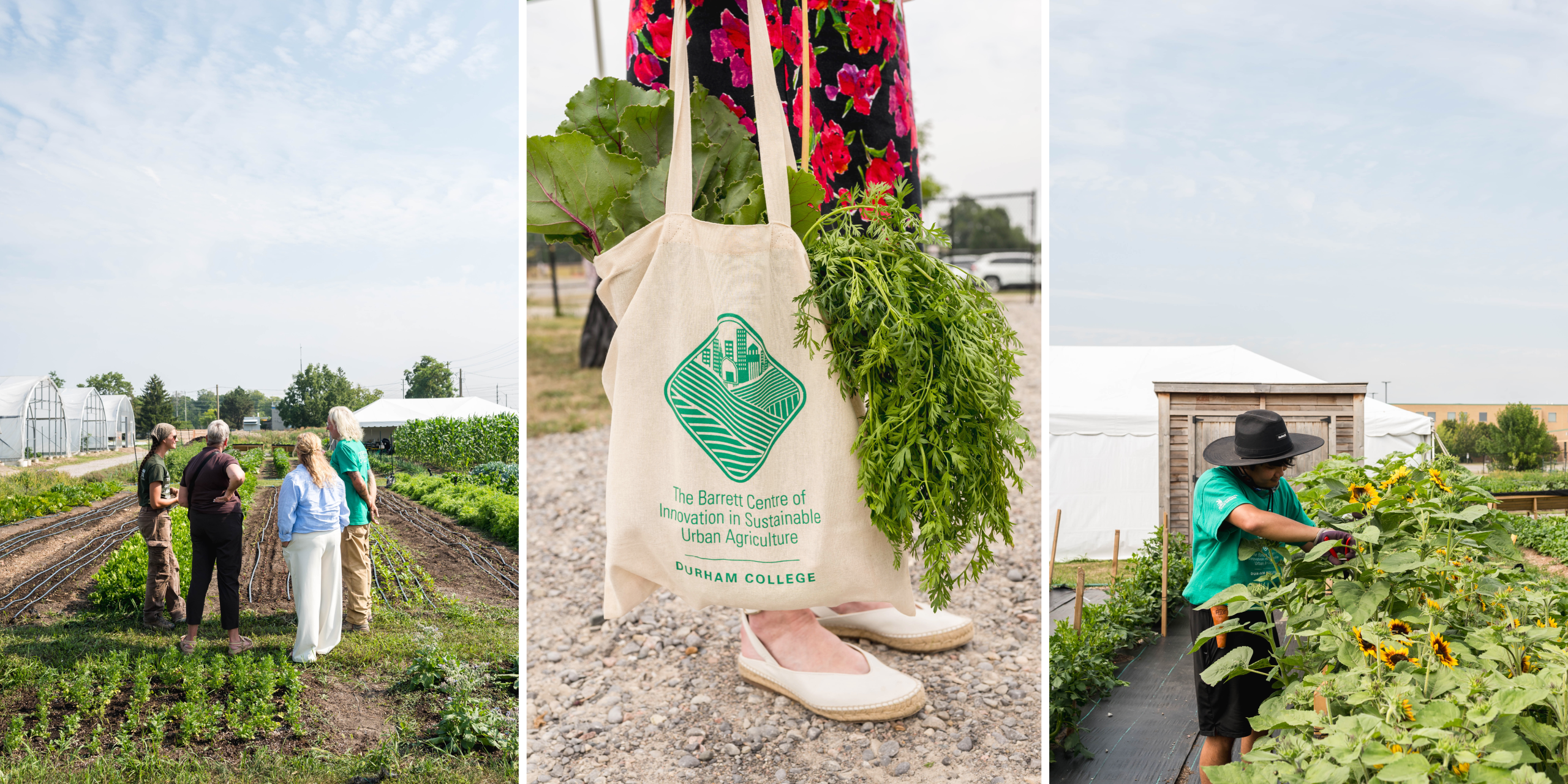 Largest gift in Durham College’s history supports the future of sustainable urban agriculture