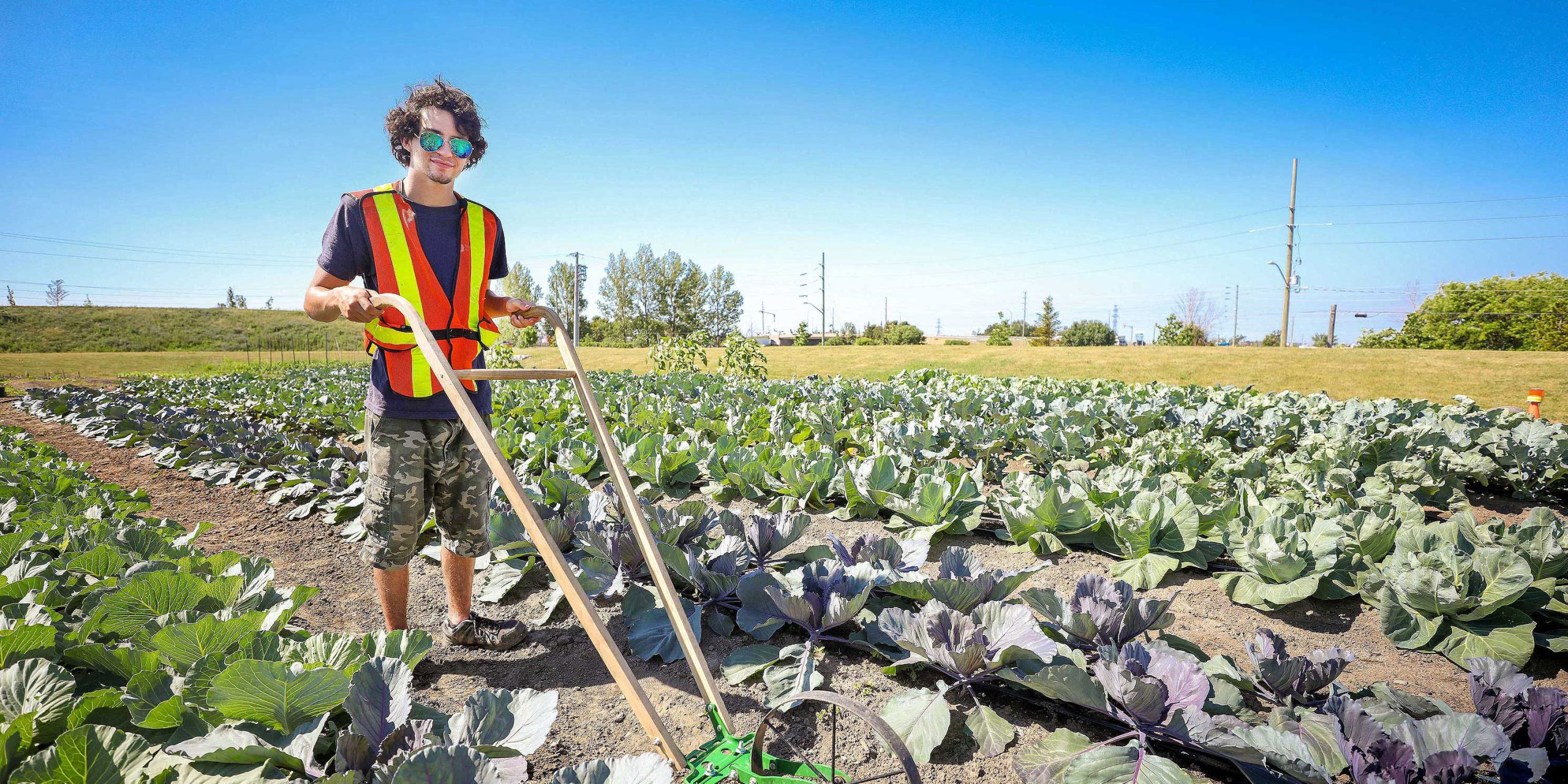 1200x600 Placeholder image.