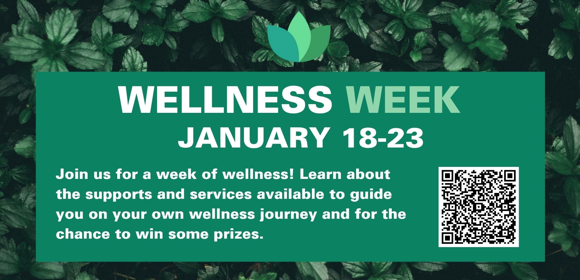 Img for health-centre-4.