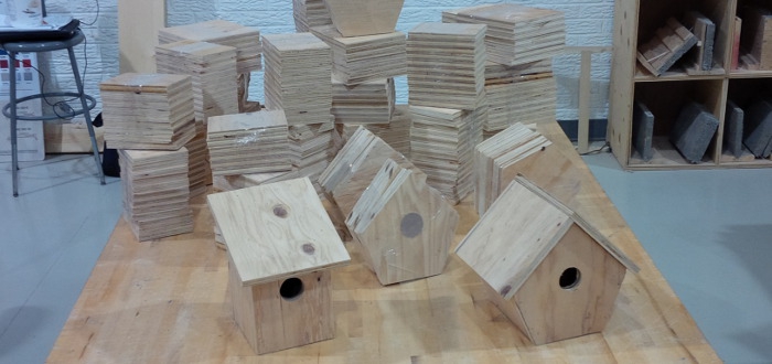 birdhouses as gifts for children