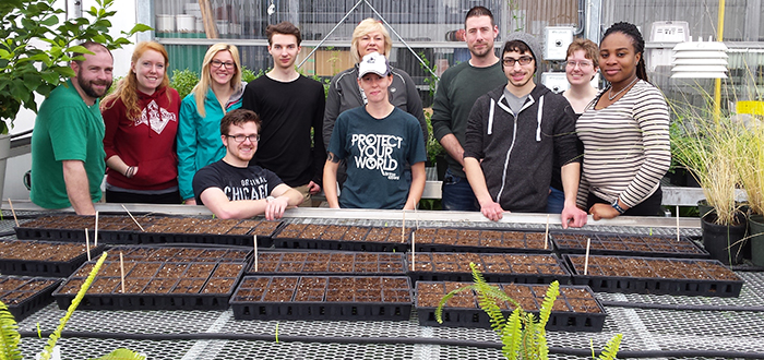 DC students potting milkweed seedlings in the greenhouse at DC’s Centre for Food (CFF) in Whitby.