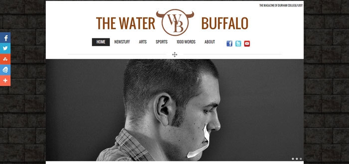 Water Buffalo online magazine