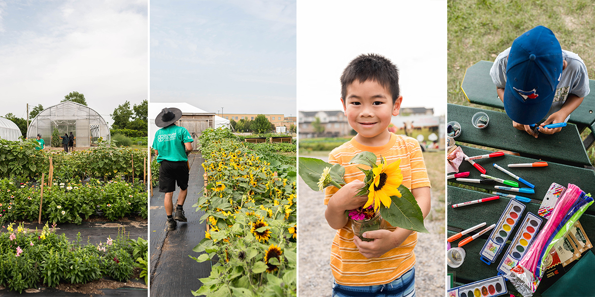 Barrett Centre of Innovation in Sustainable Urban Agriculture honoured with 2025 Durham Region Accessibility Advisory Committee Award