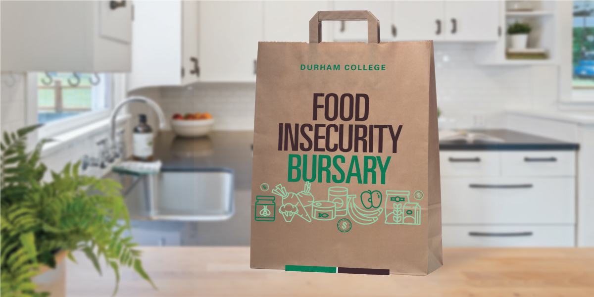 A paper bag is pictured on a counter with the words "Food Insecurity Bursary" written on the bag.