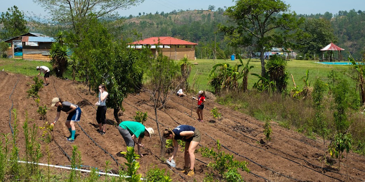 Durham College Internation students planting trees in Guatemala