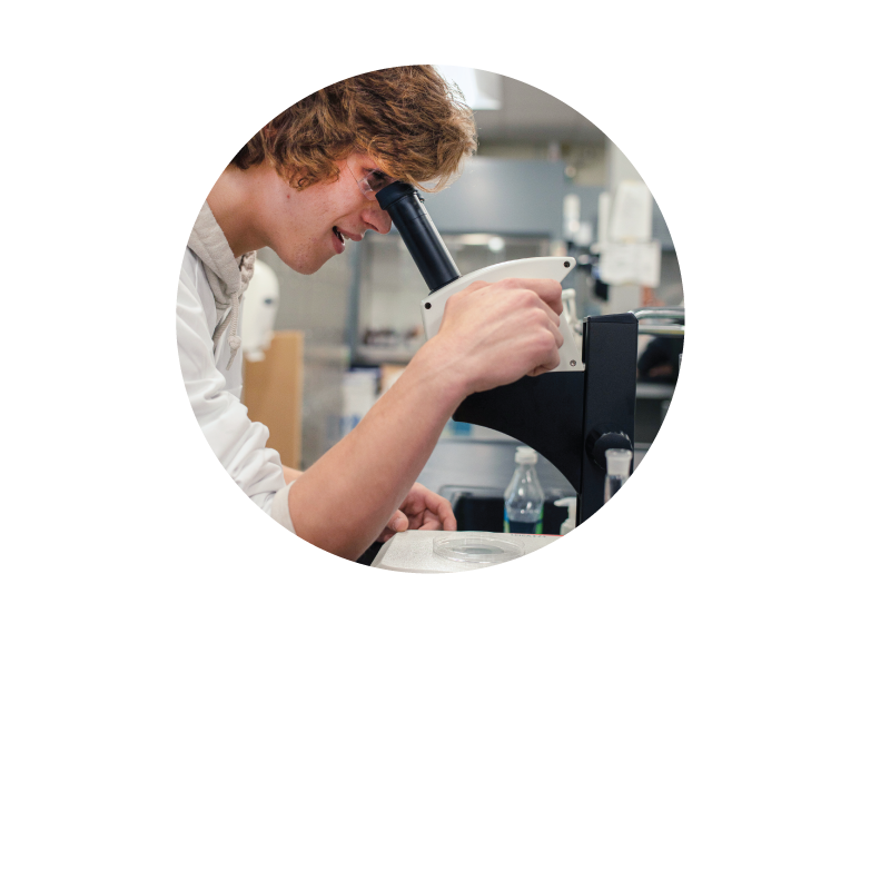 Experiential Learning